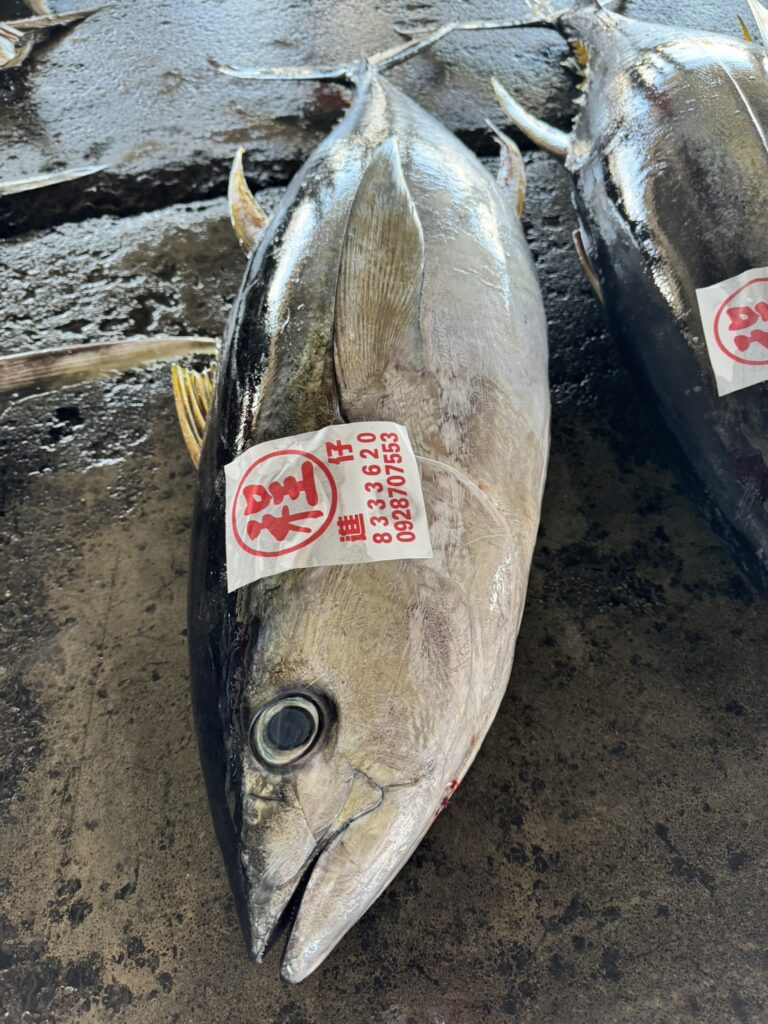 東港水產鮪魚